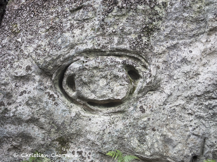 2021 gros sablons 8   copie